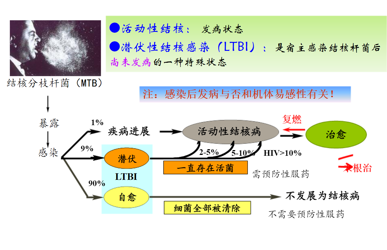 结核病相关概念1 - 知乎