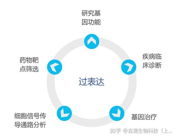 技术分享 | 基因过表达研究工具(上) - 知乎