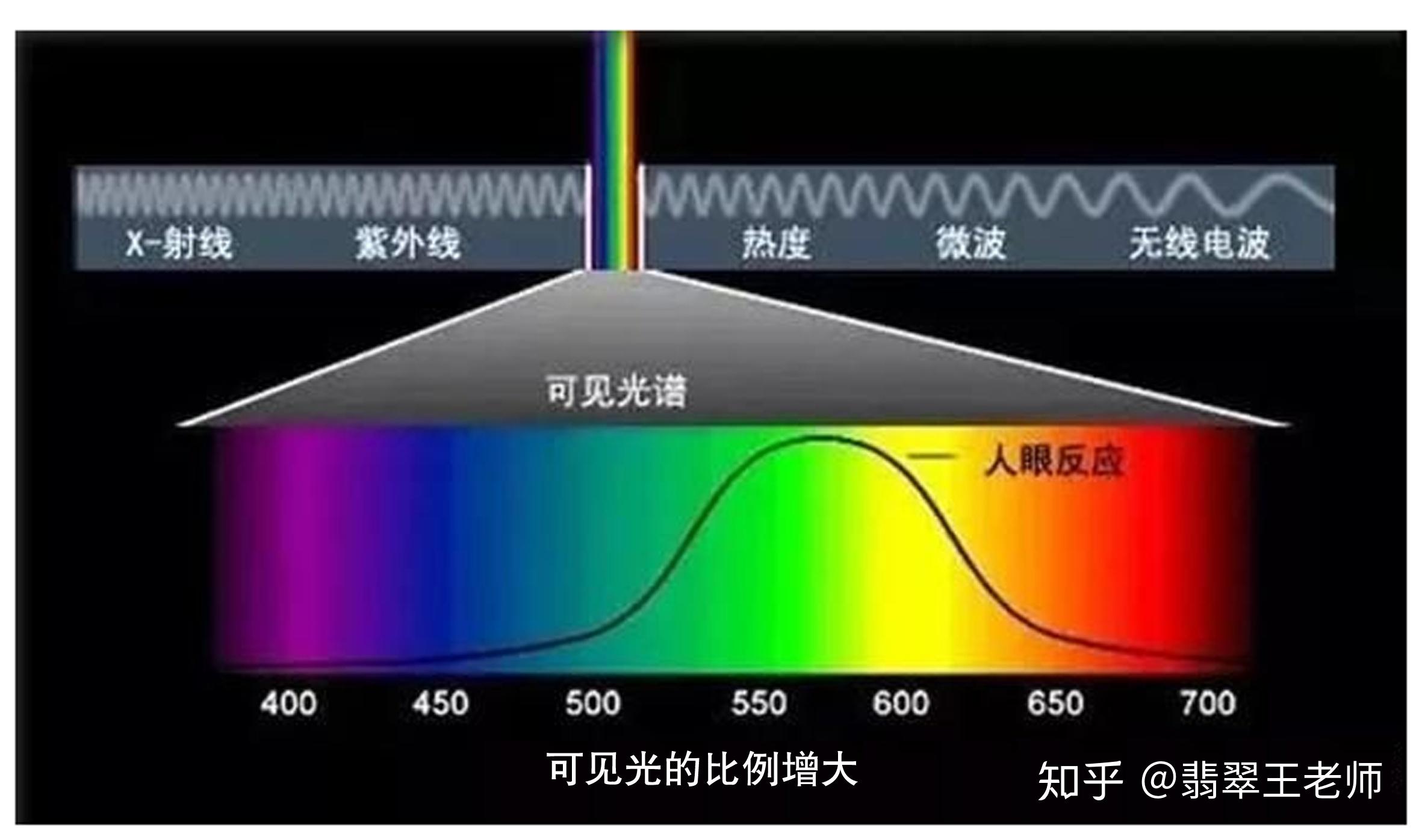 婉约高贵的紫罗兰为什么会有谈紫色变的说法