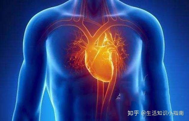 怎样提升气血循环 v2-4b2a51673202e15c7db687919bbedb0d_r.jpg