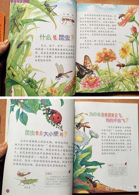 幼兒十萬個為什麼美繪版全10冊書本與實踐相接合的自然課生動又有趣