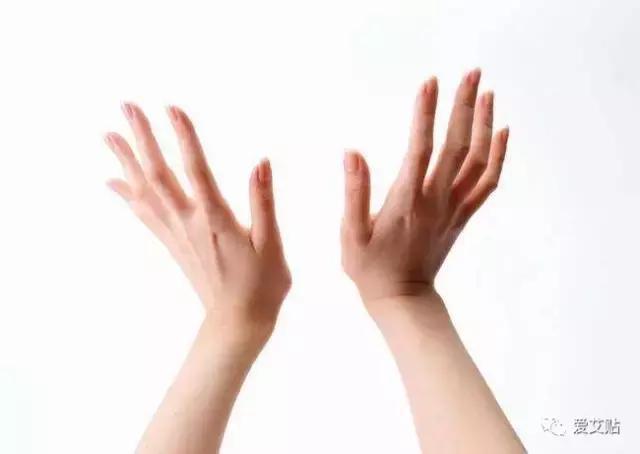 手是不是人体的器官 v2-4b34c417907bbd13e11d40ae180e241a_r.jpg