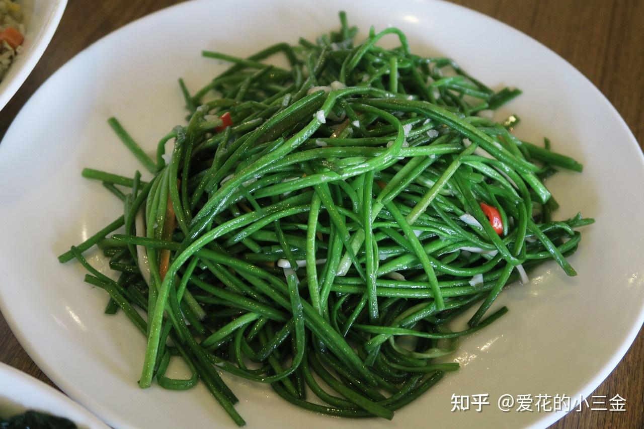 荇菜:诗经中最先出场的植物 - 知乎