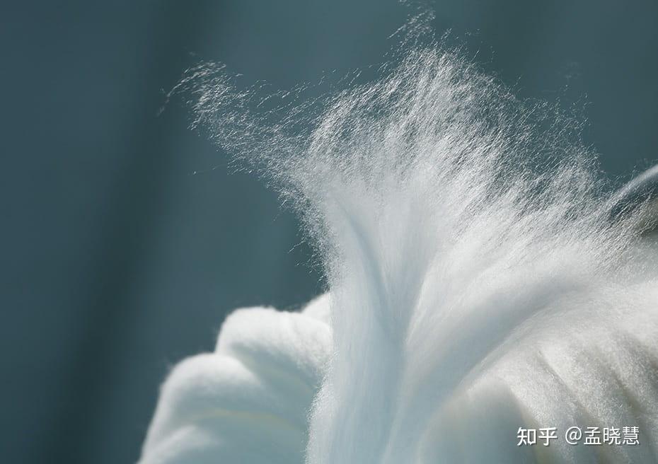 天丝莱赛尔纤维