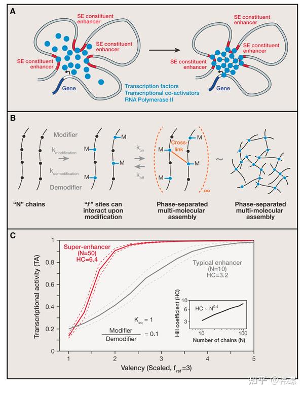 相分离相关综述(2) - 知乎