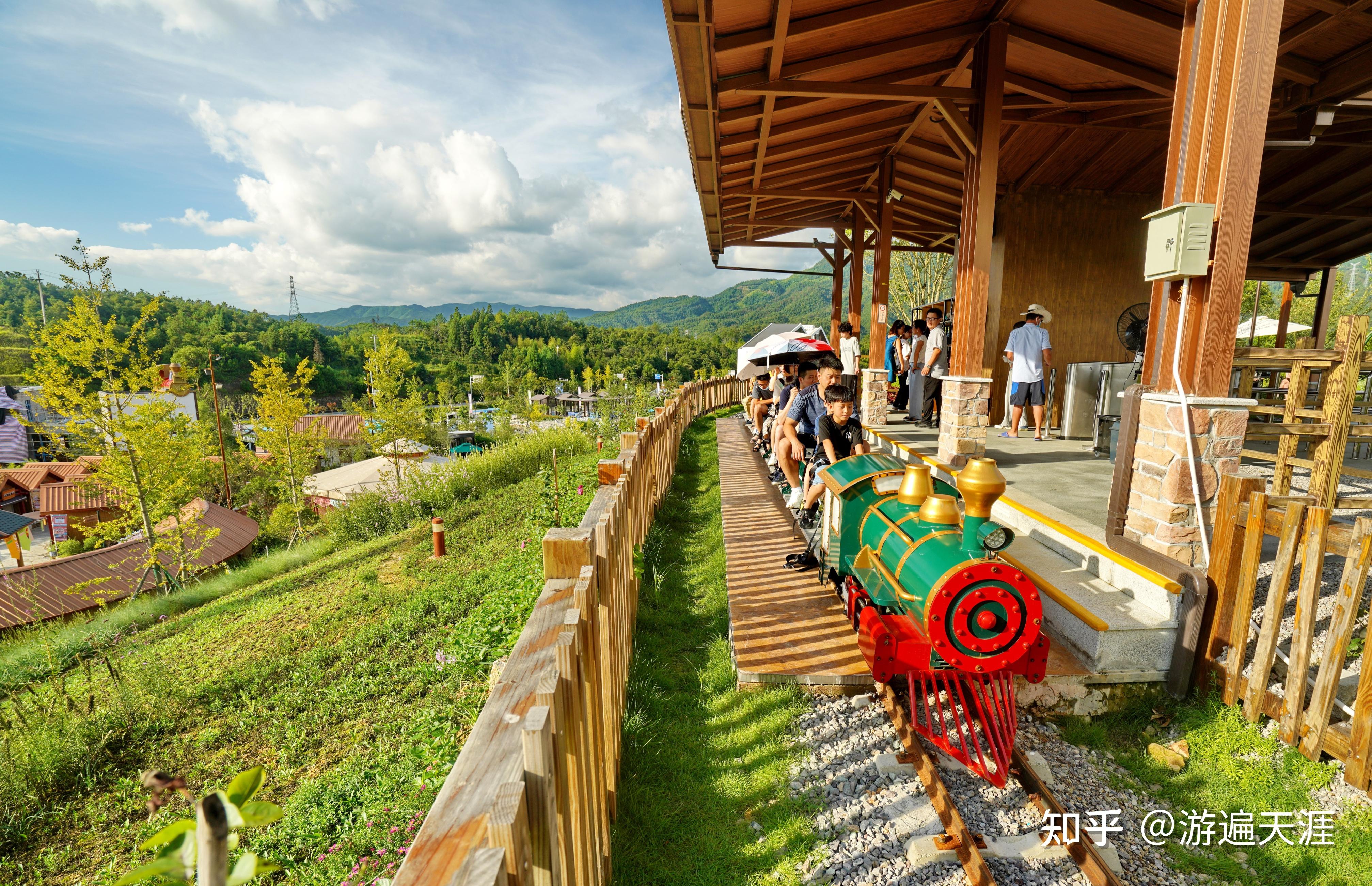 温州亲子游好去处泰顺松垟花开火车乐园大手拉小手阳光下行走