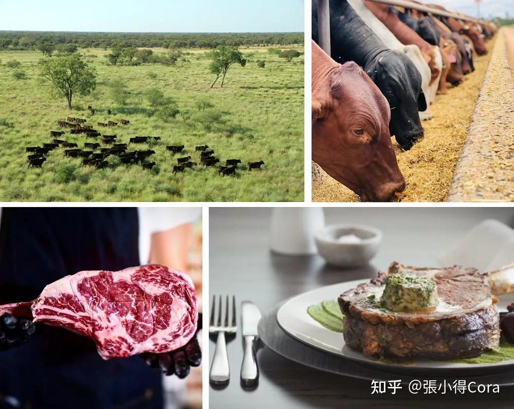 毋庸置疑,来自澳洲牛肉品牌stanbroke(斯坦布洛克)大家都不陌生.