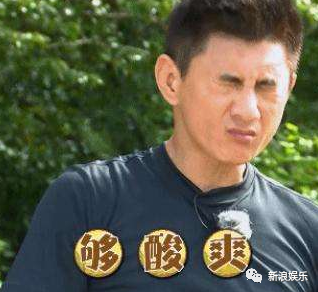 传了十几年,终于承认了!-传了过来的英文