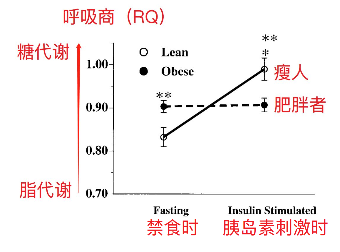 糖脂代謝之間無法順利切換的現象被稱為