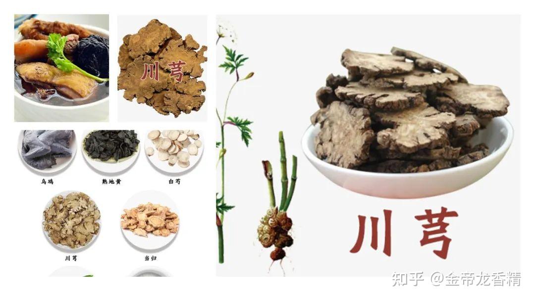 香精与香料(87)—川芎 - 知乎