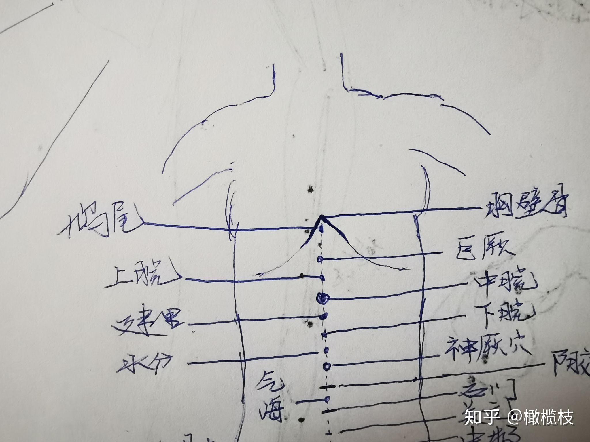 鸠尾洞的预备示意图图片