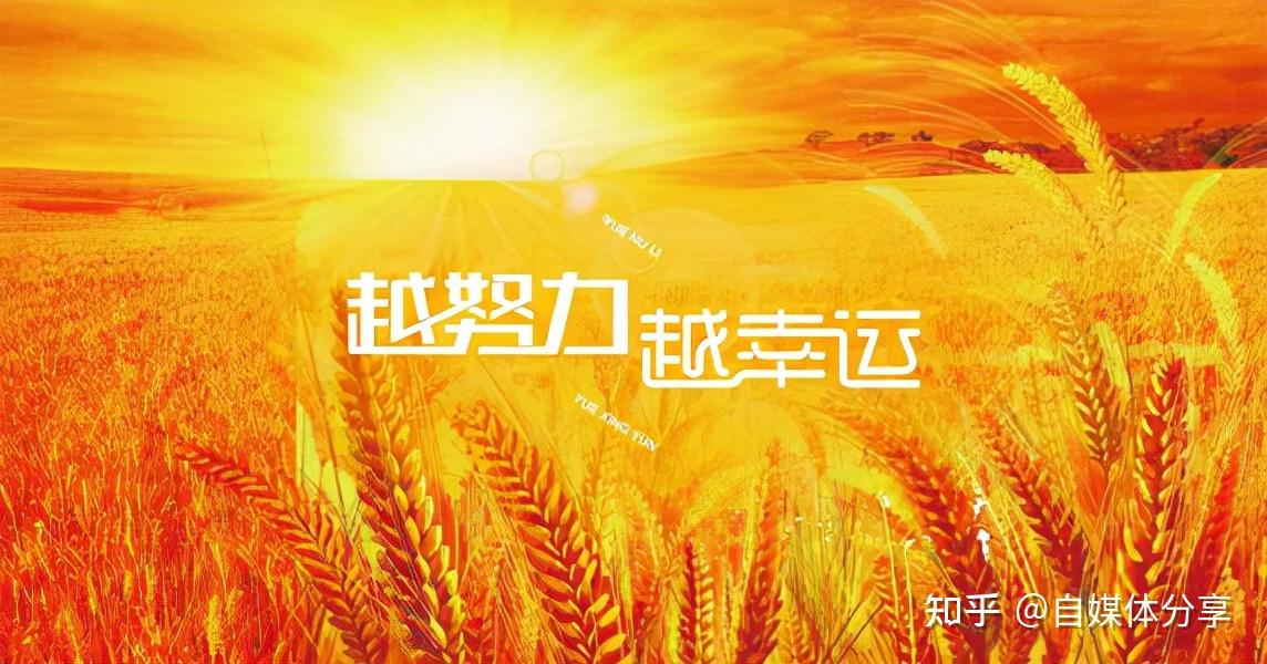 自媒体行业这么火爆个人专门从事自媒体创作前景光明吗