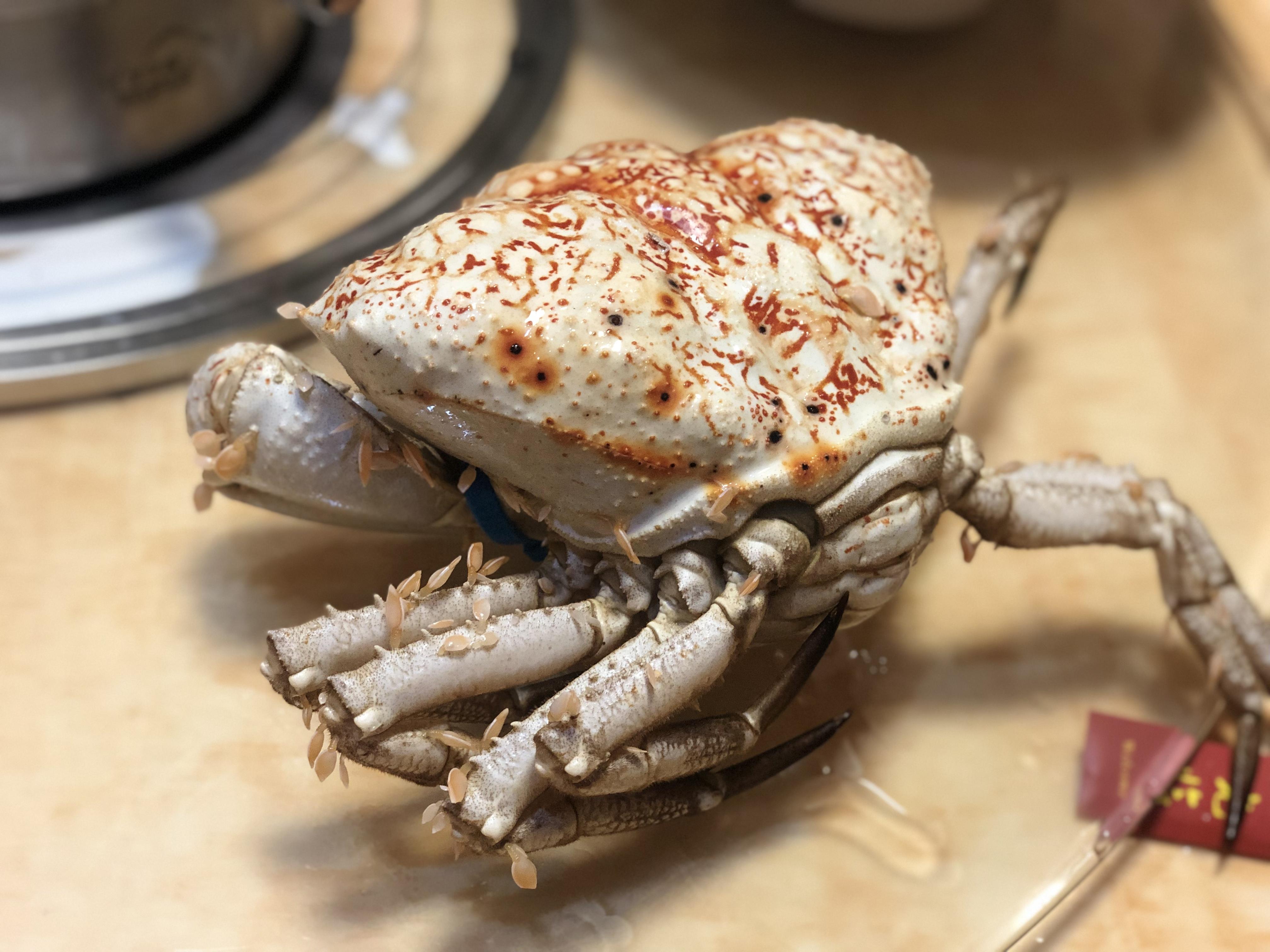 去年九月,一班酒肉朋友组了一个世界上身价最贵的黄油蟹(实重500g千