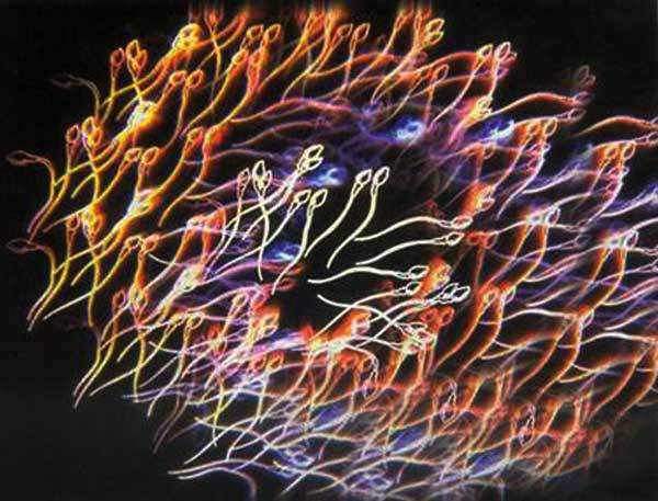 人体细胞是如何由最初的一个发展到几十万亿个的