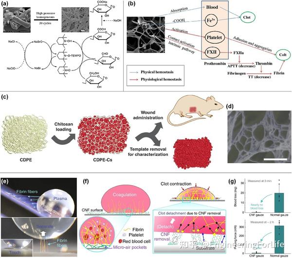 《Acta Biomater.》综述：看“纳米纤维”如何化身为“止血材料” - 知乎