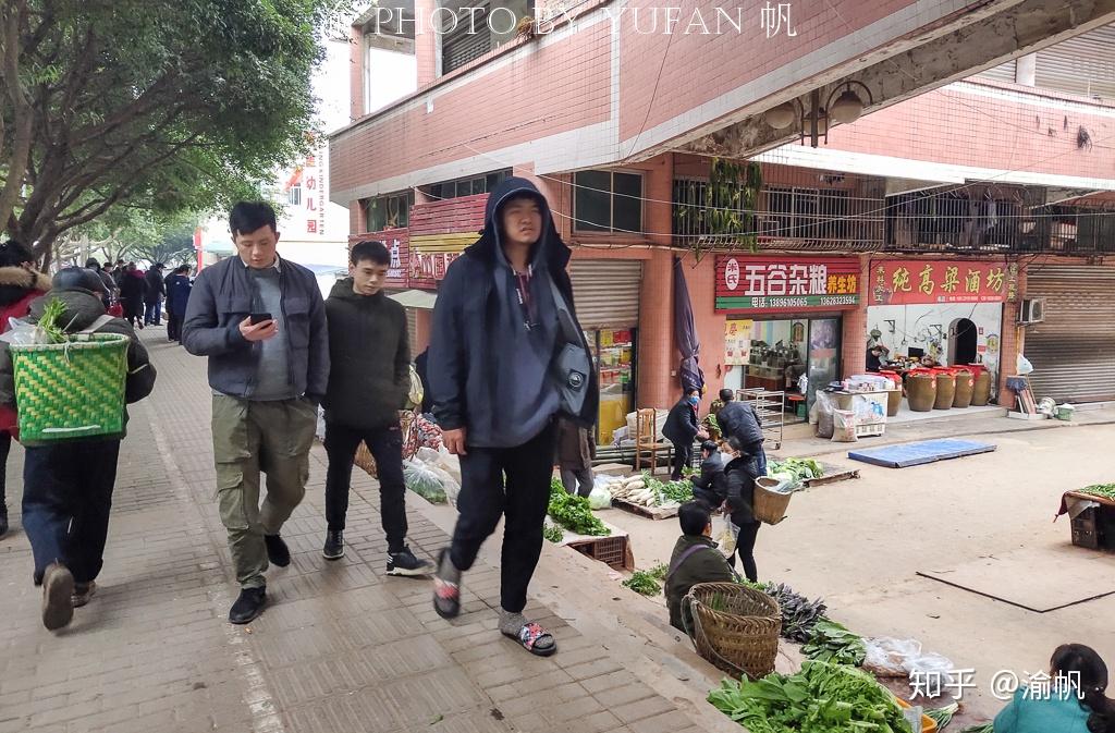 重庆潼南有多少人口_重庆潼南油菜花图片