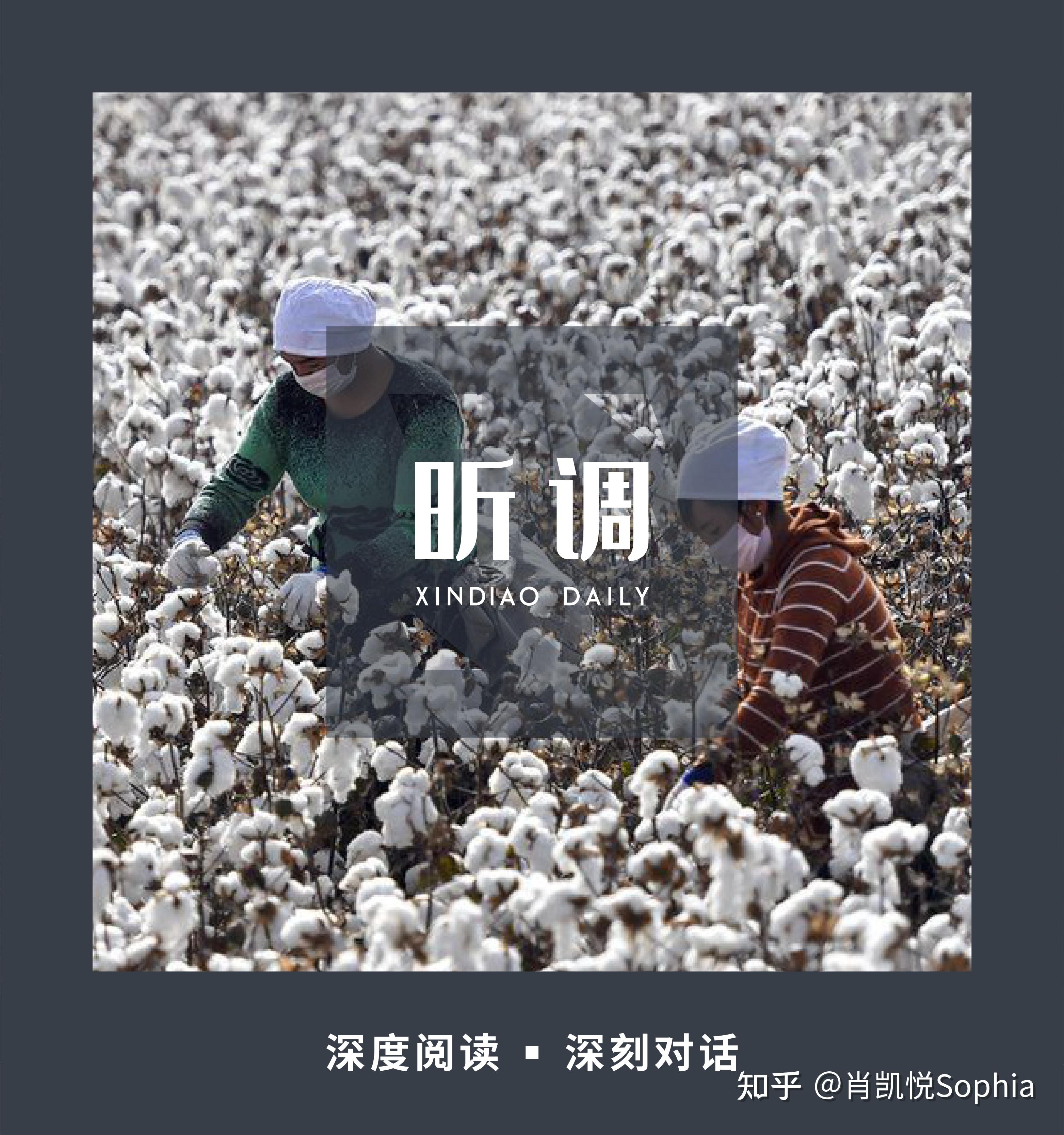 西方民众怎么看待新疆棉花事件独家对话bbc记者