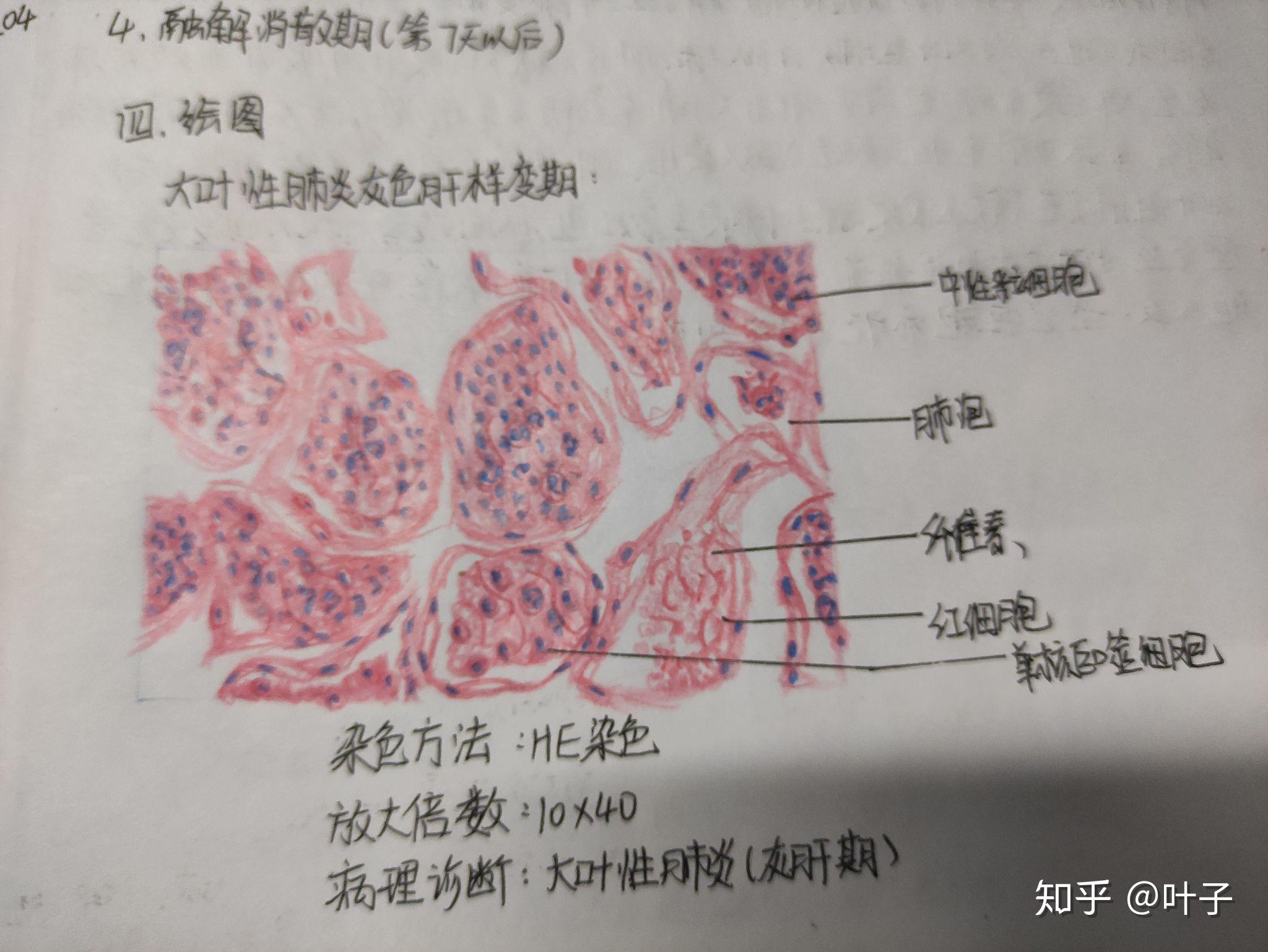 vivo S30系列首发评测：多彩、好玩还特别能打