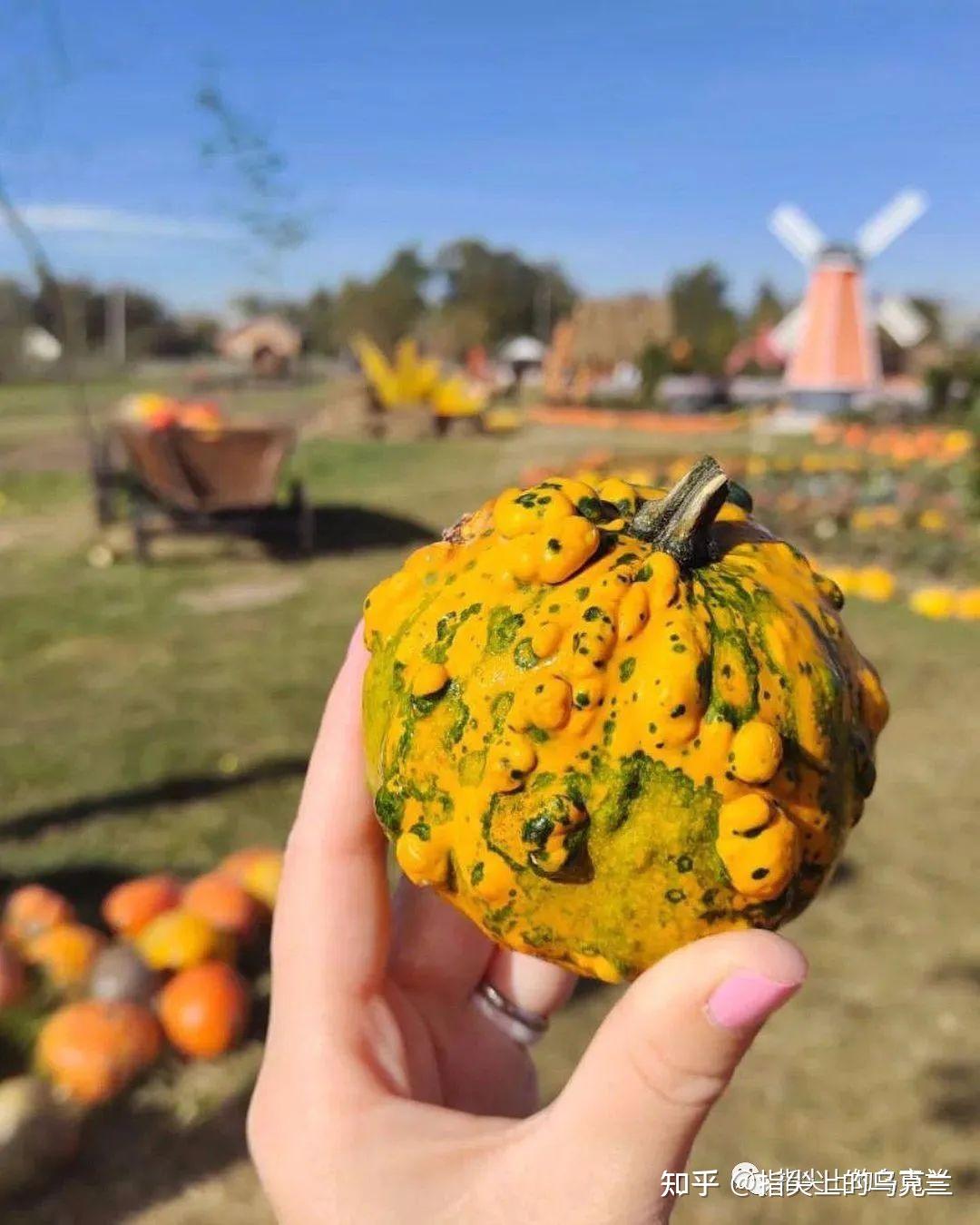 10月23日俄乌战争第607天90高龄的老古董也开到前线各区域最新战况