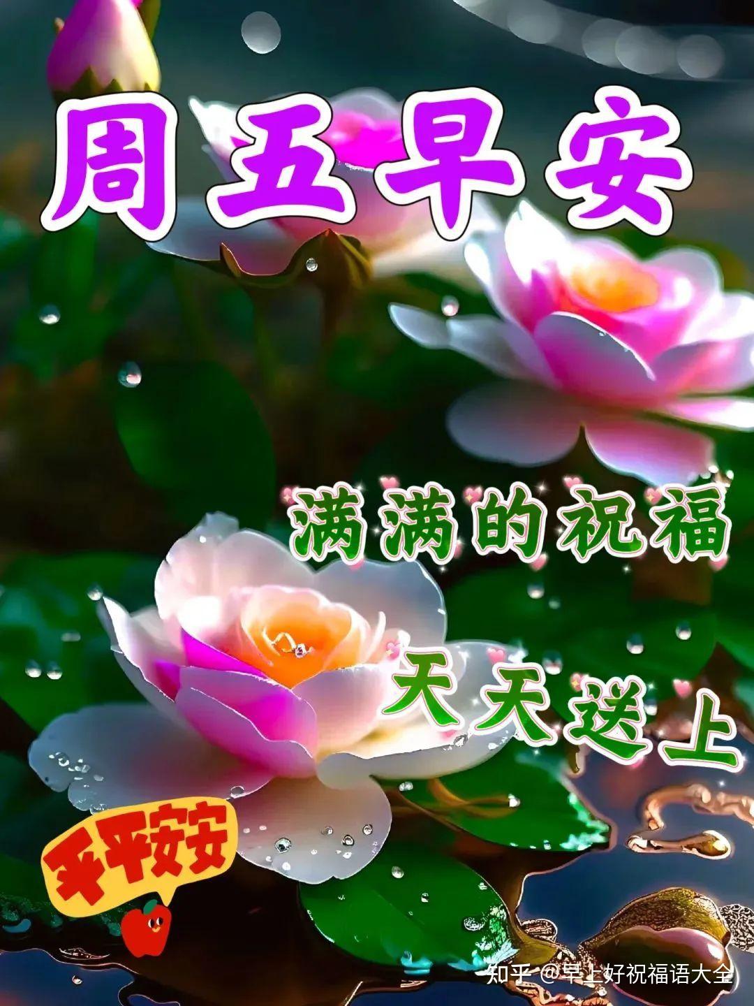 6月16日周五早上好,早安创意祝福暖心图片 - 知乎