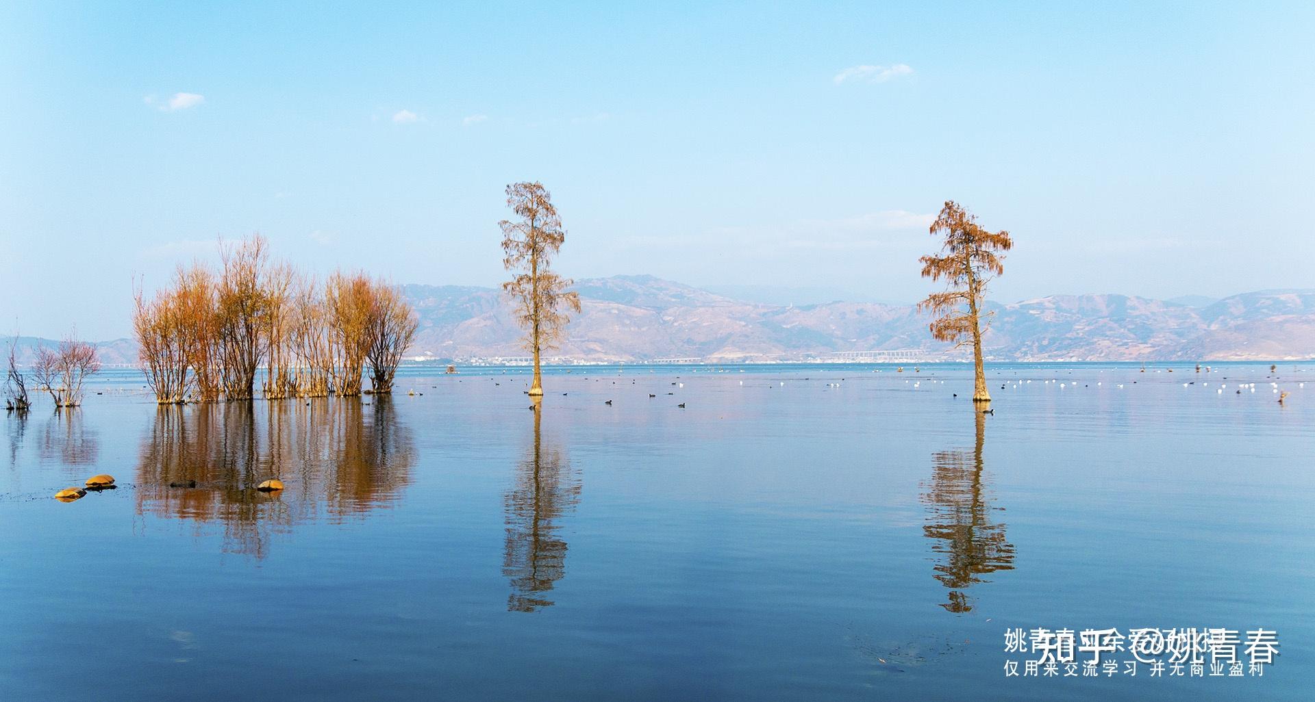 姚青春2021年从上海回云南老家路上拍摄的自然风光山水风景照片3