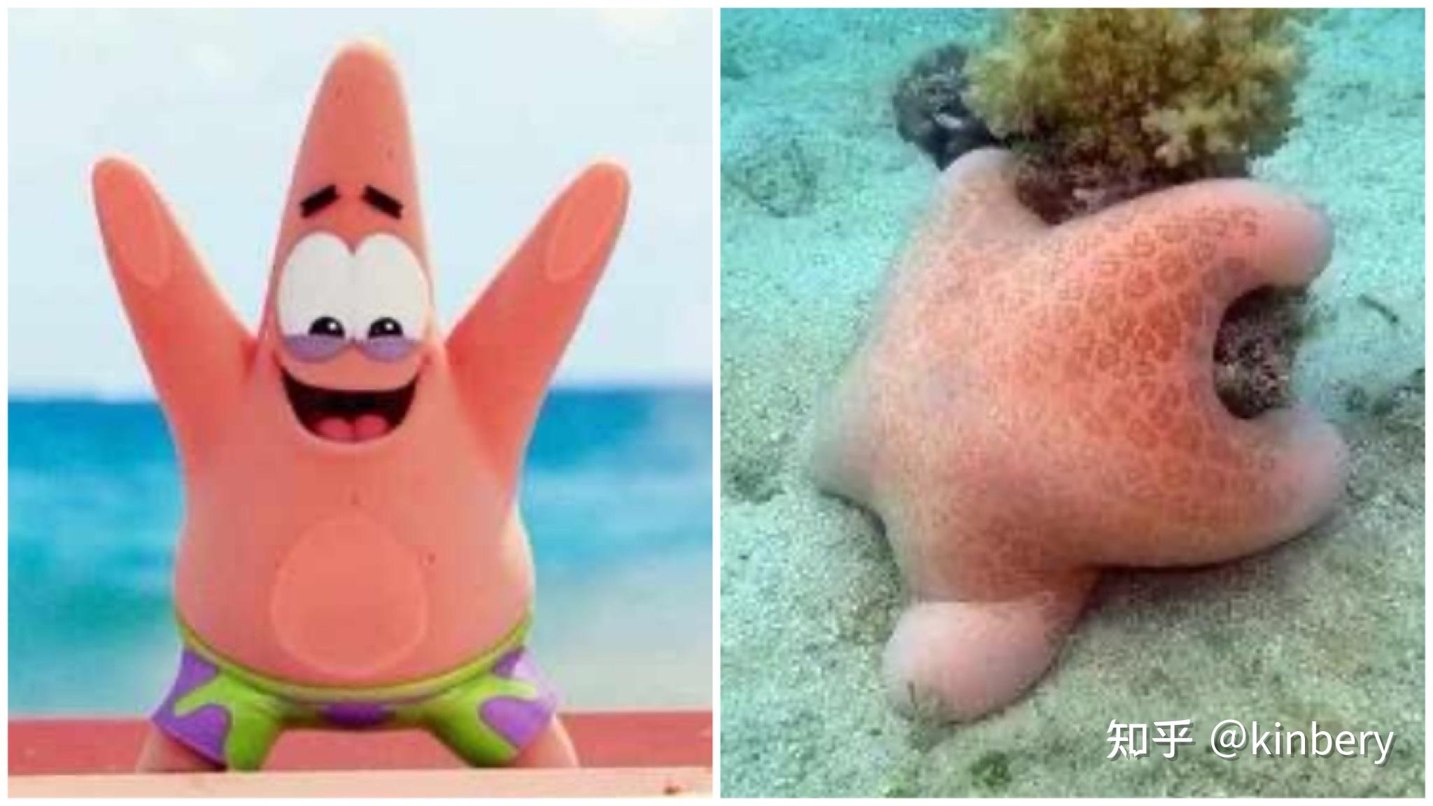 022-海绵宝宝中英文版本(1~6季) - 知乎