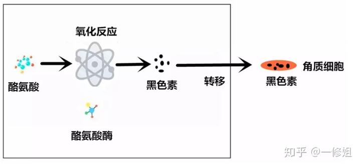 烟酰胺真的那么神奇吗? 4 v2 4bd45e689e6f8ebfa1c84fb89a5aa90a 720w