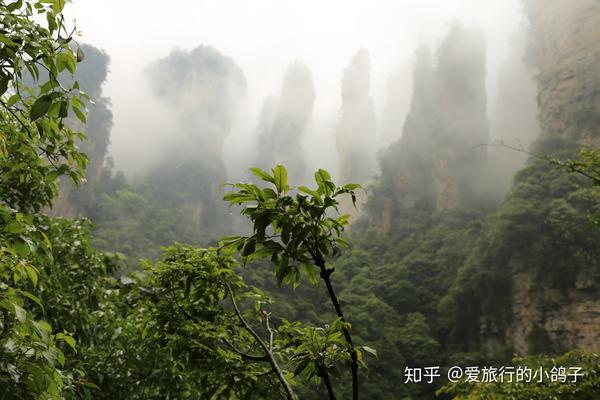 旅游團價格表_三亞報團旅游價格2018_蜀南竹海跟團旅游價格