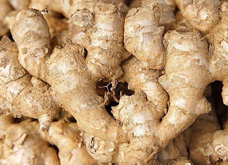 生姜的种植时间是什么时候 有哪些准备事项 知乎