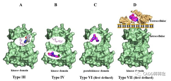 激酶变构抑制剂(分类)简介 - 知乎