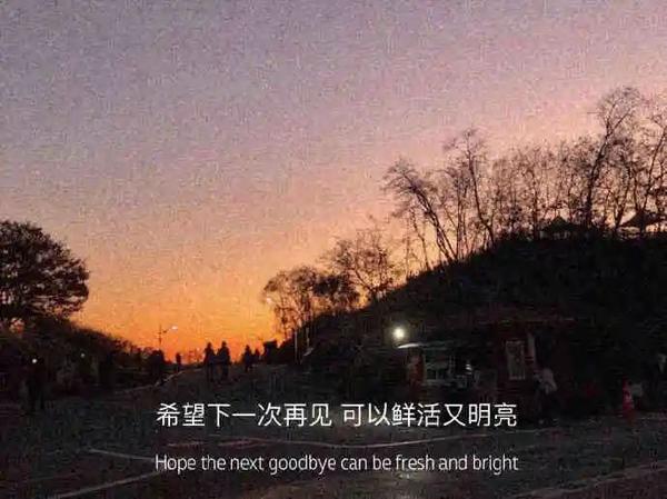 简短文案短句干净治愈(30句高质量的干净治愈文案短句)
