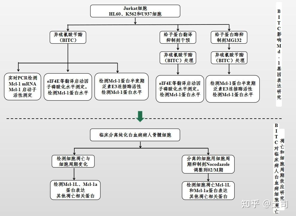 干货分享！超详细的医学研究技术路线图绘制教程~ - 知乎