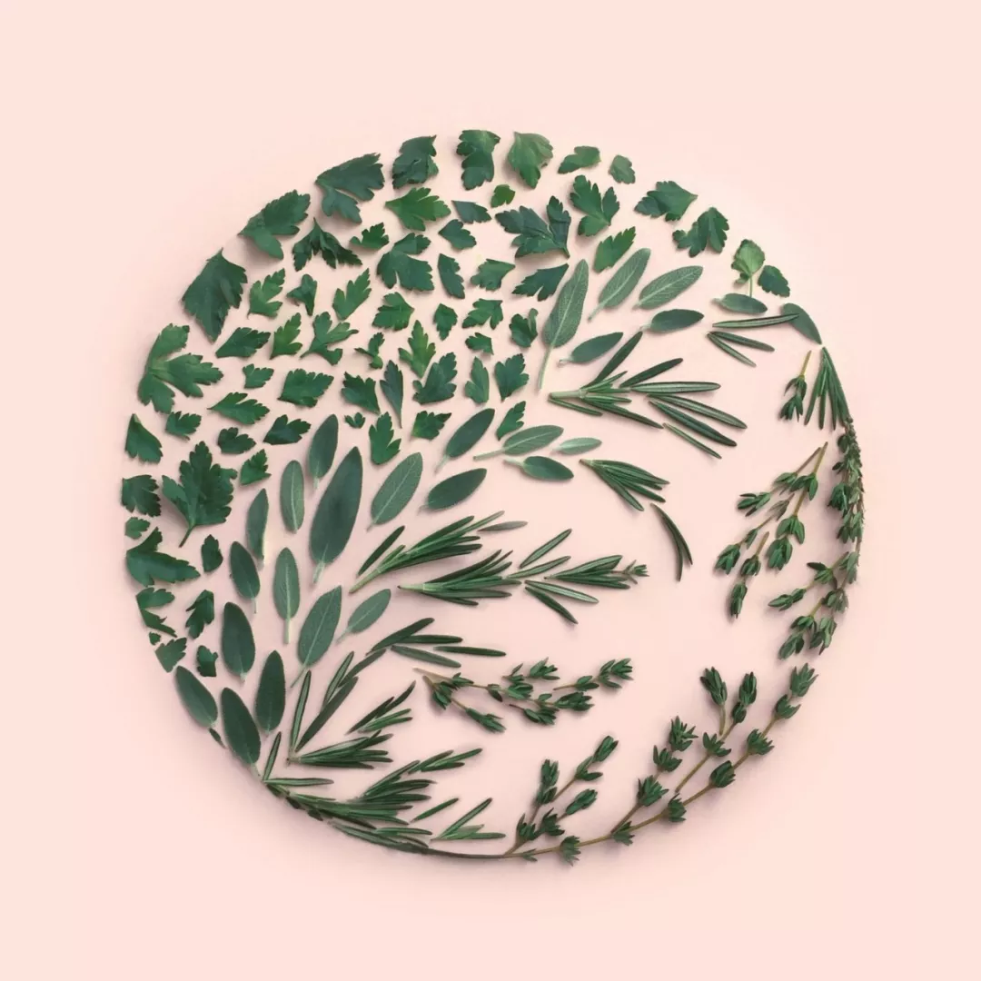 这种鲜花几何设计,很酷!