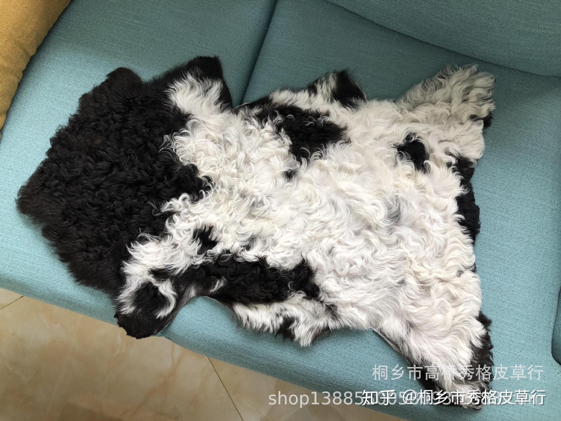 提格拉多羊毛介绍,什么是tigrado提格拉多皮毛一体?