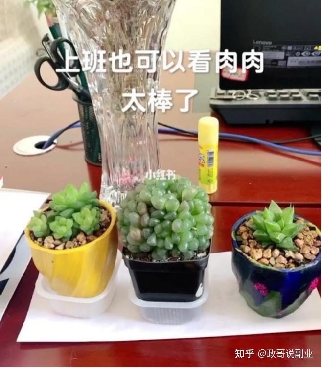小型养殖副业(副业养殖什么赚钱)