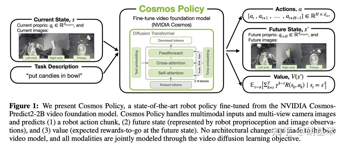 Cosmos Policy