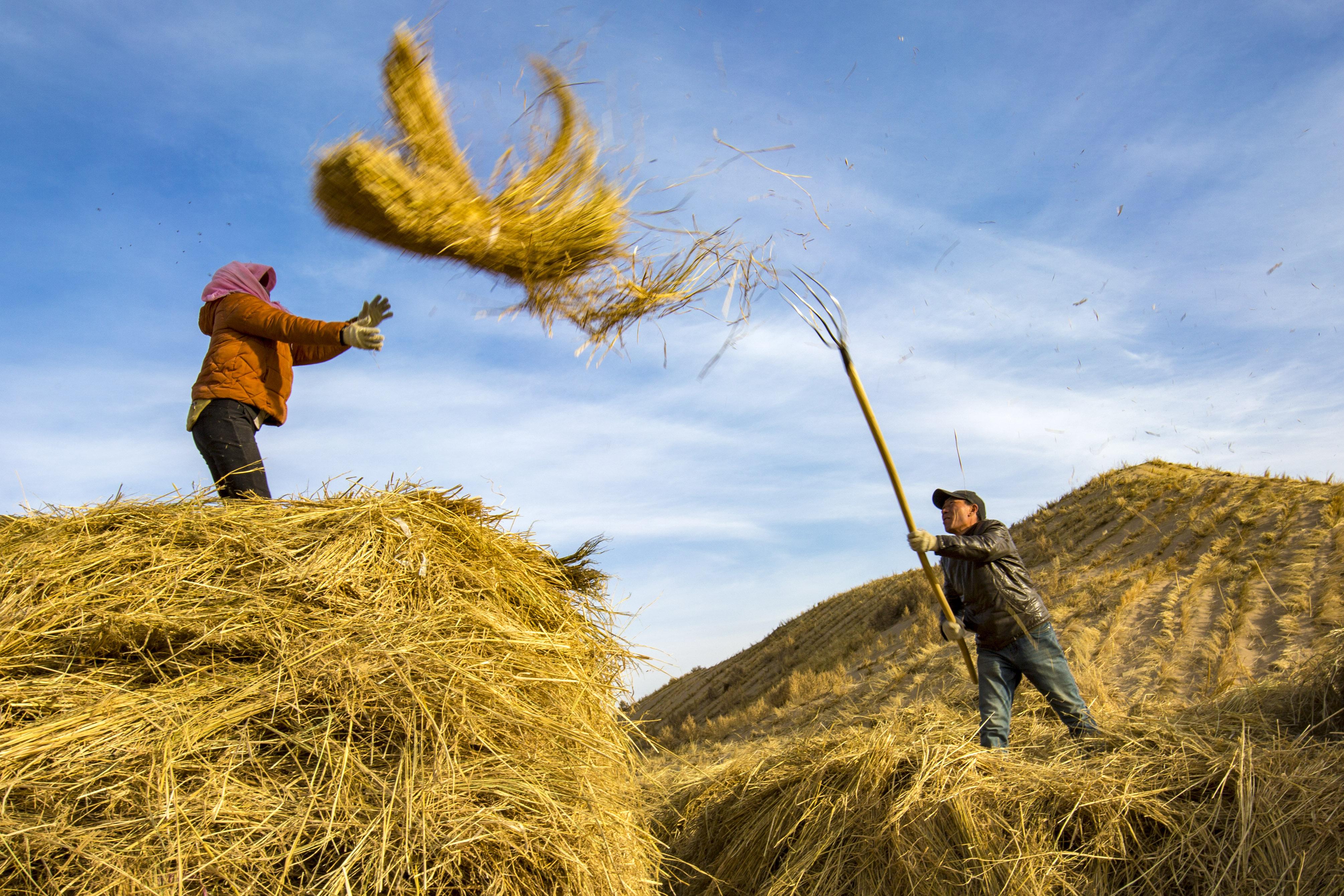 刘怀裕敢把沙漠变绿洲第一届甘肃现代摄影艺术展览优秀摄影作品