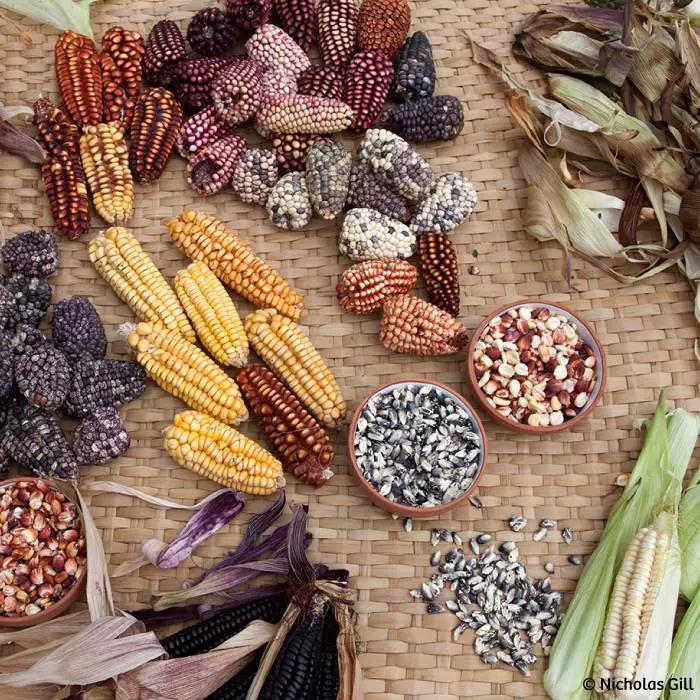 上下五千年,秘鲁居然是地球另一端的文明古国?