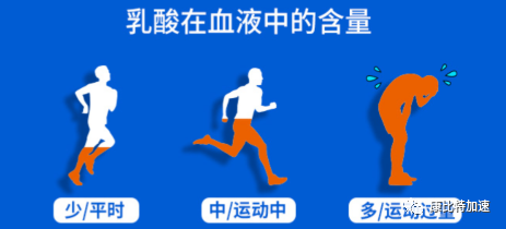 Ldh偏高乳酸脫氫酶高的原因 Itha