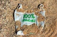 禁塑令最大受益者长鸿高科被忽视的新材料隐形冠军