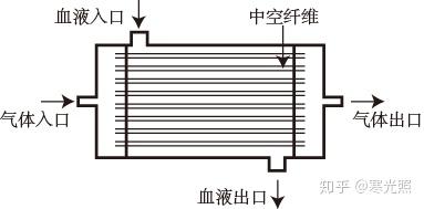 中空纤维膜式氧合器结构