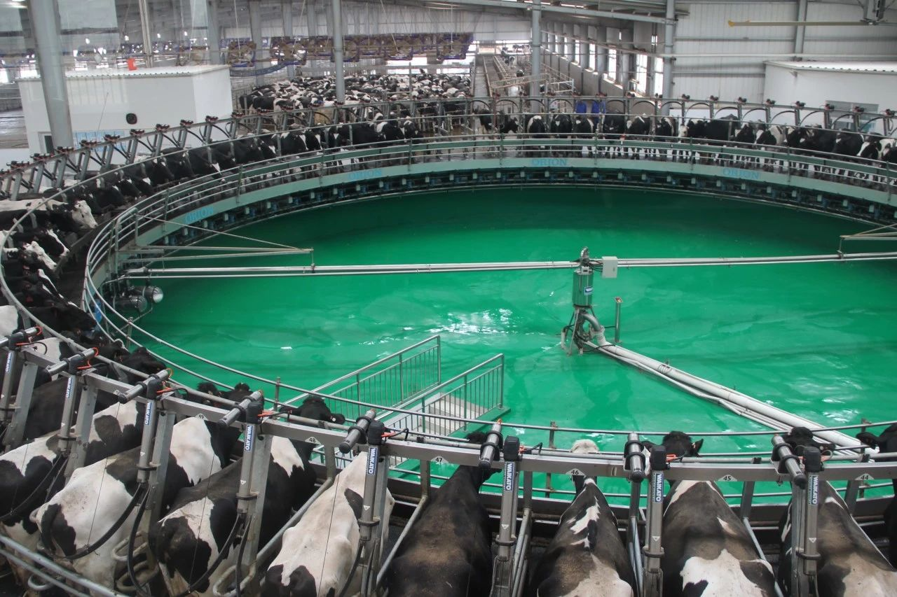 全国14家光明乳业旗下工厂率先获得tpm各阶段奖项,其中乳品四厂获得