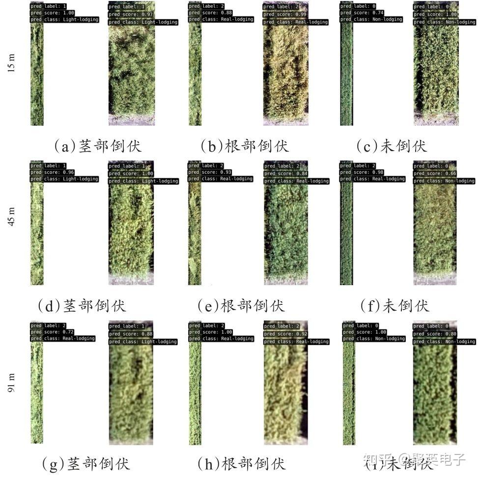 【智慧农业】利用无人机图像检测小麦倒伏类型 - 知乎