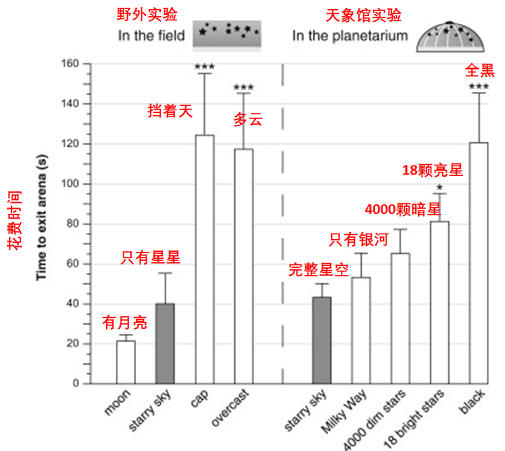 除了人类以外,还有哪种地球生物可以仰望星空? 4 v2 4cb7931014c24bac4cae75a787220fe6 720w
