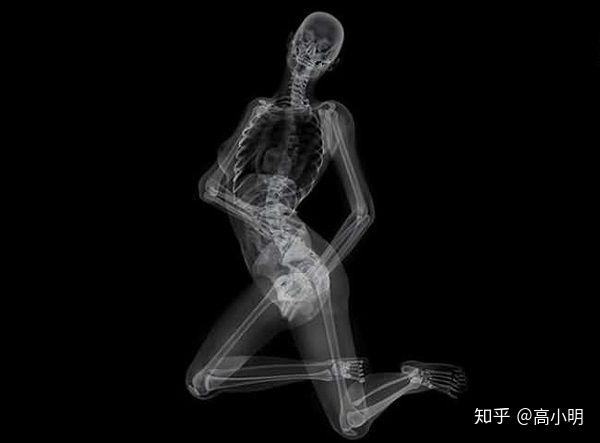 红粉骷髅
