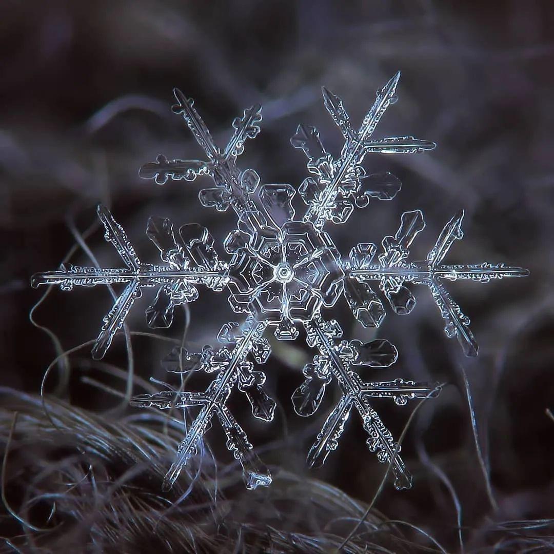 摄影师花微距拍摄的雪花美的一塌糊涂