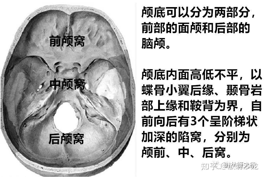 颅底MRI扫描方案! - 知乎