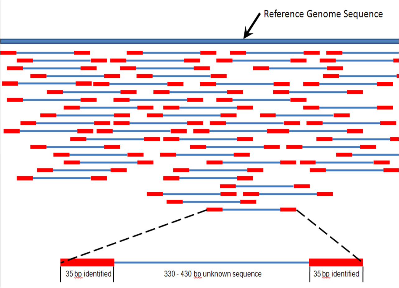 Rna seq quality control 