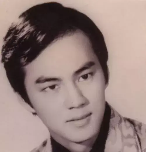 狄龙 年轻时期正如张彻所说:中国传统的男性理想就是三国时期的