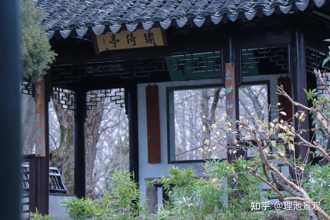 苏州园林|为什么一定要趁着冬季去一趟拙政园?